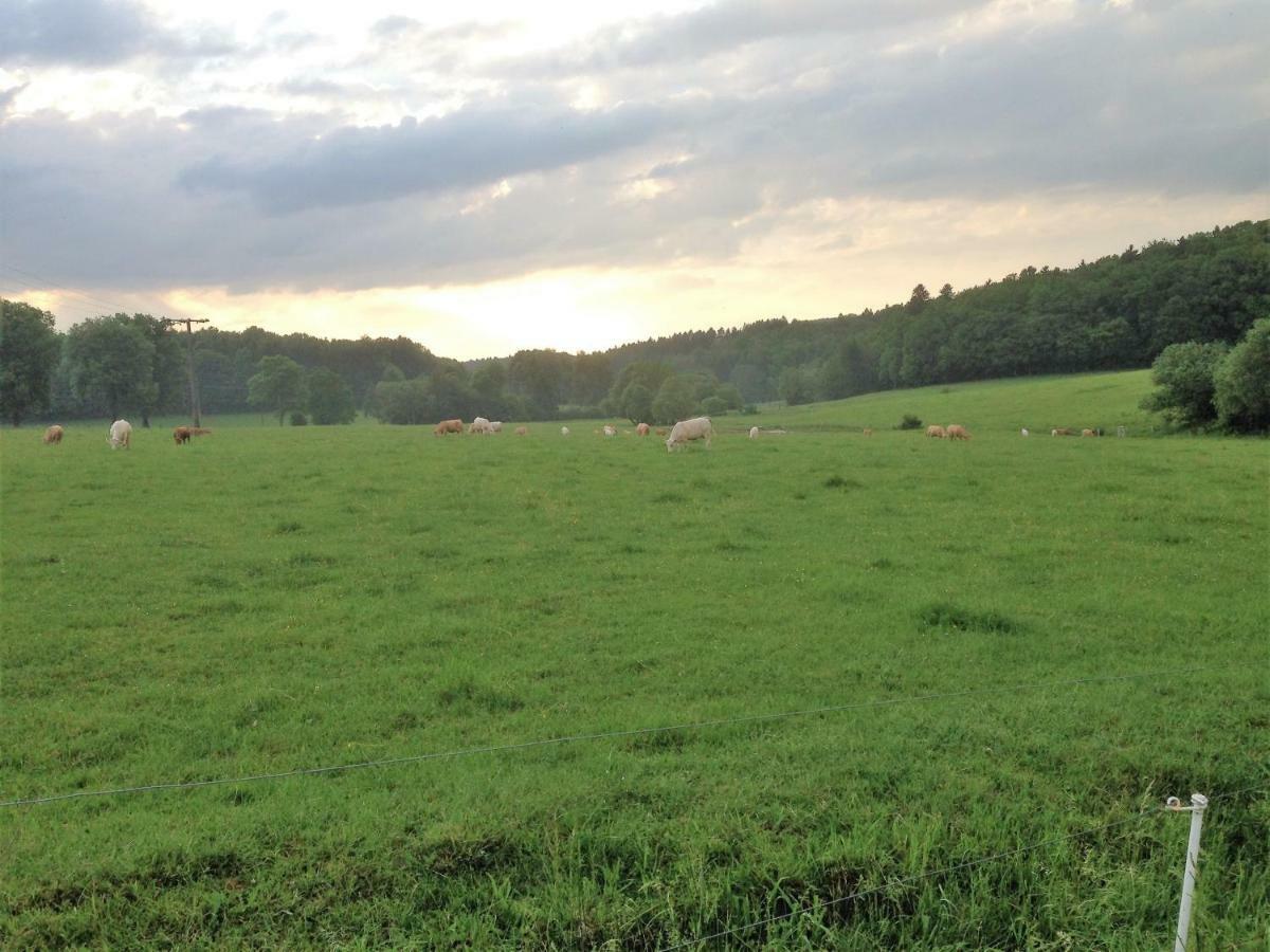 Ferienwohnung Baldus-Westerwald Mogendorf Exteriör bild